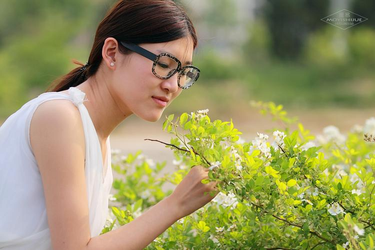 澳门周公神算安装界面